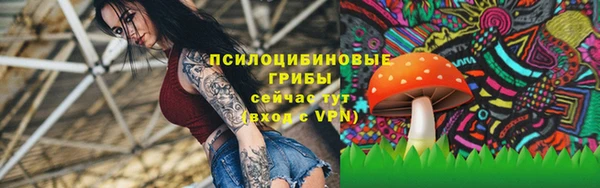 первитин Алексин